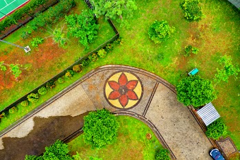 Aerial Photo of Backyard