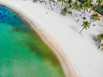 Aerial Photo of Beach