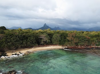 Aerial Photo of Beach