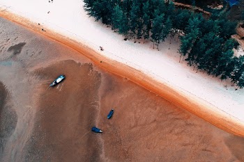 Aerial Photo of Beach Line