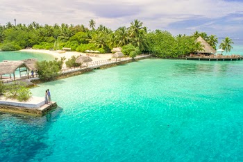 Aerial Photo of Beach With Dock