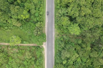 Aerial Photo of Black Vehicle on Grey Concrete Road Between Forest