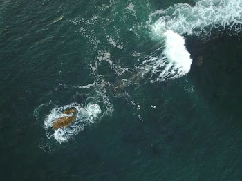 aerial photo of body of water during daytime