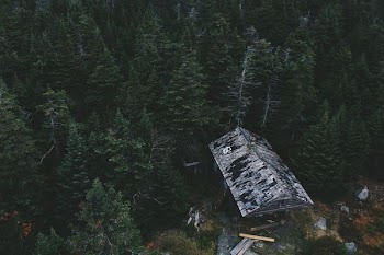 aerial photo of cabin on woods