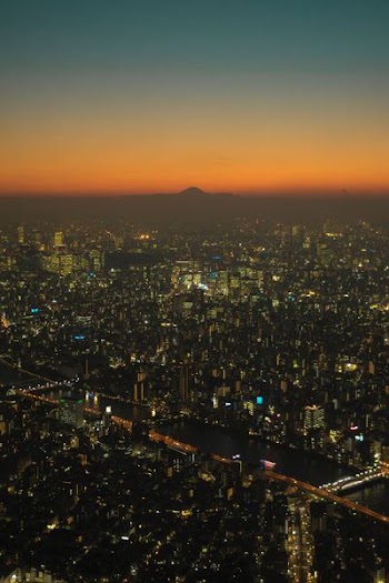 aerial photo of city beside body of water