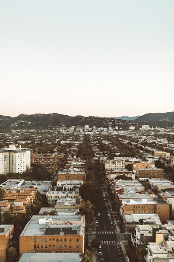 aerial photo of city buildings