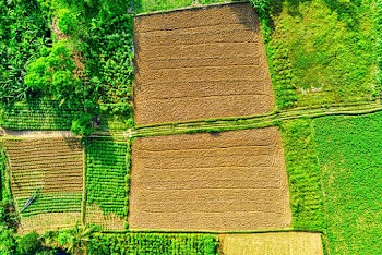 Aerial Photo of Cropland