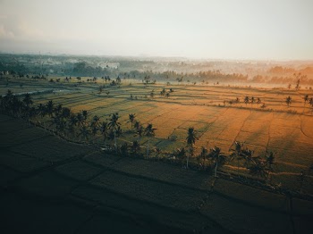 Aerial Photo of Farmland