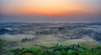 Aerial Photo of Farmland Covered by Fog During Golden Hour