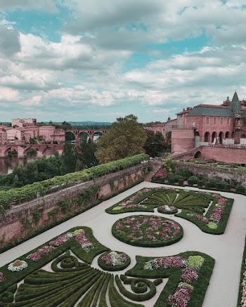 Aerial Photo of Flower Garden
