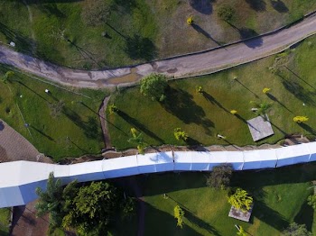 aerial photo of green grass field