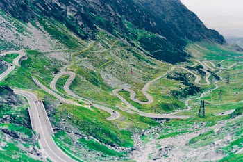 Aerial Photo of Green Scenery and Winding Road
