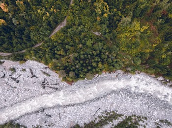 Aerial Photo Of Green Trees