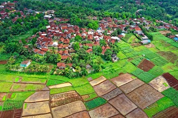 Aerial Photo of Houses