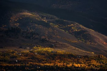 aerial photo of houses on hill surrounded with trees during daytime photo