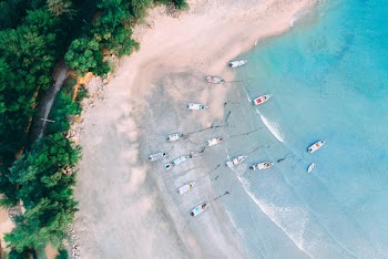 Aerial Photo of Island Surrounded by Trees