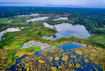 Aerial Photo of Lake