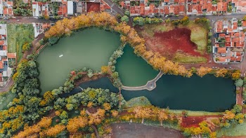 Aerial Photo Of Lake
