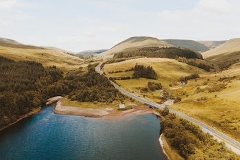 Aerial Photo of Lake Surrounded by Trees