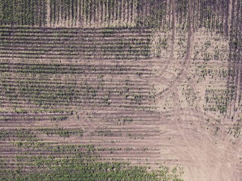 aerial photo of land