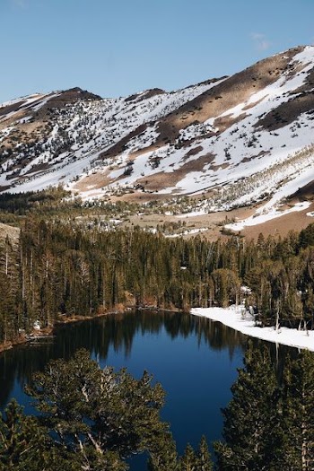 aerial photo of mountain covered with snow and trees