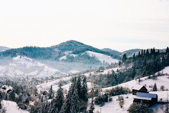 Aerial Photo of Mountains and Trees
