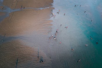 Aerial Photo of People on Beach