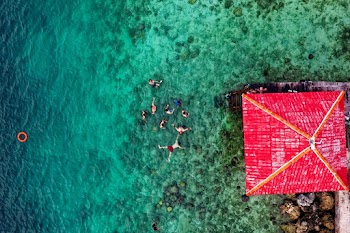 Aerial Photo of People on Body of Water