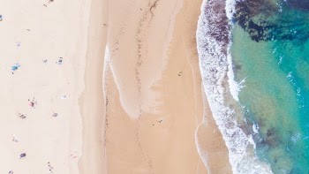 aerial photo of people on brown sand near body of water
