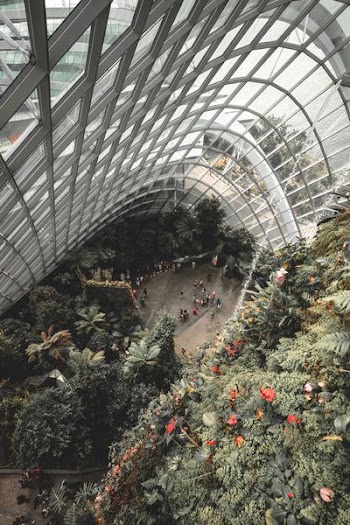 aerial photo of people on ground surrounded by flowers and trees during daytime