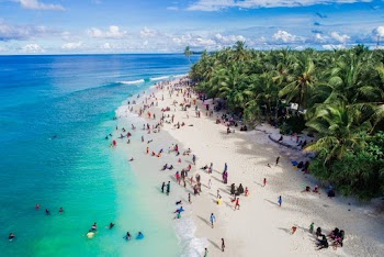 Aerial Photo of People on Seashore