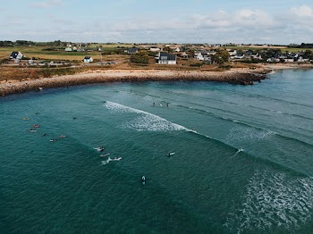 Aerial Photo of People Surfboarding