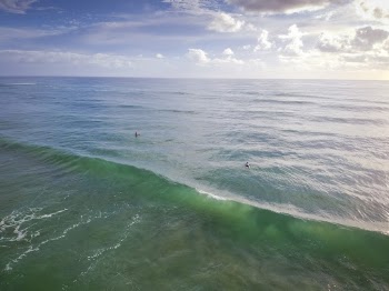 Aerial Photo of People Swimming in Sea