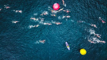 Aerial Photo of People Swimming on Sea