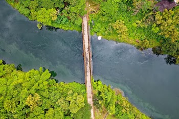 Aerial Photo of River and Trees