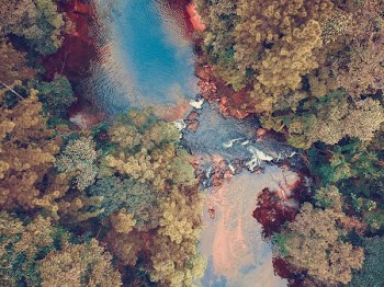 aerial photo of river between trees