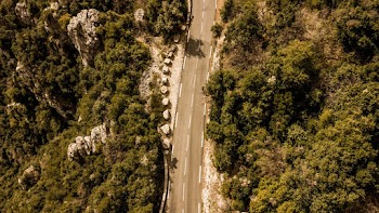 Aerial Photo of Road Between Forest