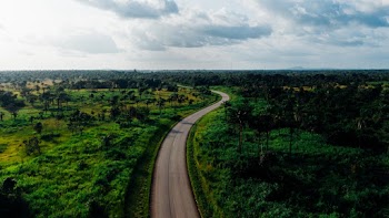 Aerial Photo of Road In The Midst Of  Lush Vegetation Of The Countryside