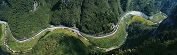 Aerial Photo of Road Near Trees