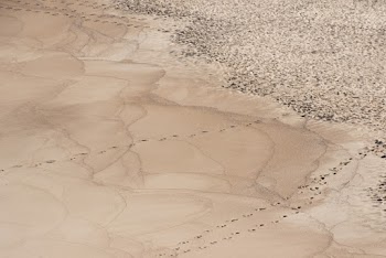 Aerial Photo of Sand With Footprints