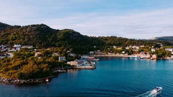 Aerial Photo of Sea Beside Forest