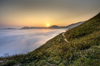 Aerial Photo of Sea of  Clouds