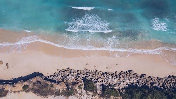 aerial photo of sea shore during daytime