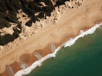 aerial photo of seashore at daytime