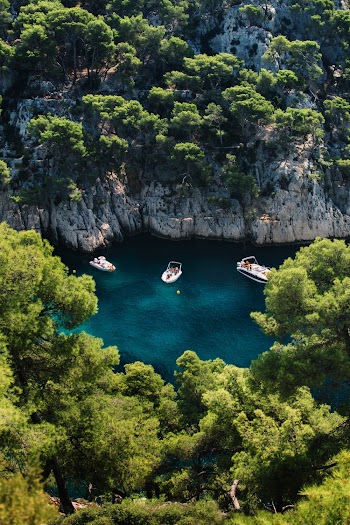 Aerial Photo of Speed Boat at Middle of Sea Surrounded by Trees
