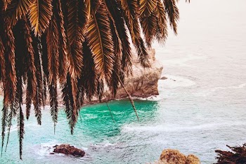 aerial photo of tree and stone surrounded with body of water
