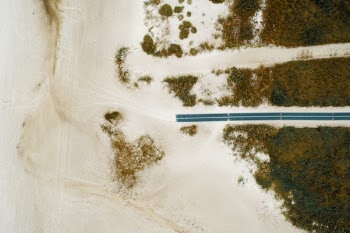 Aerial Photo of Trees and Dirt Road