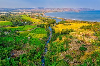 Aerial Photo of Trees and Fields