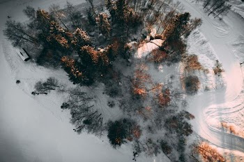 aerial photo of trees between snow covered pathway