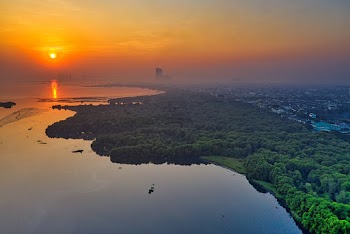 Aerial Photo of Trees Near Body of Water During Golden Hour
